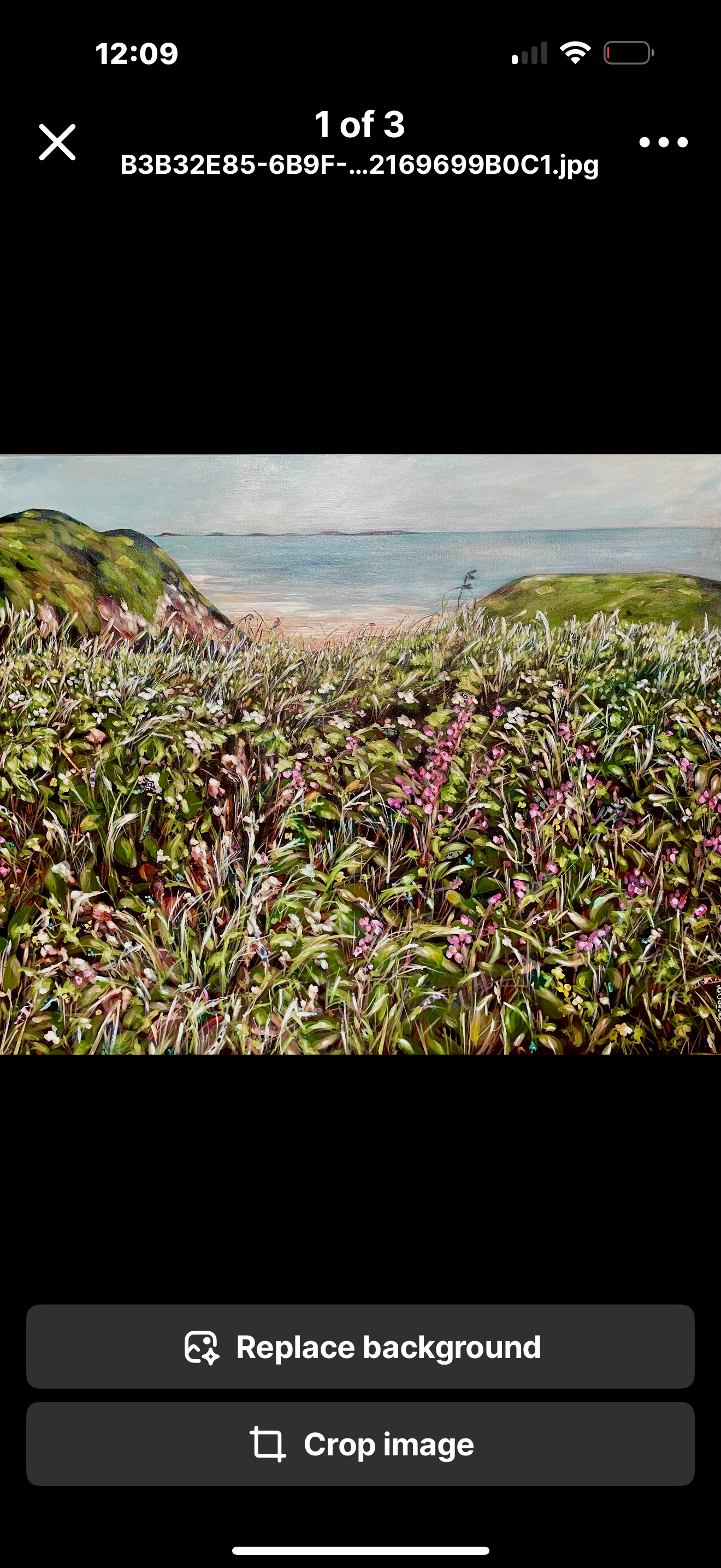 “Going for a wee dander” …view from the coastal path at Whiterocks beach, Portrush, Co. Antrim, Northern Ireland